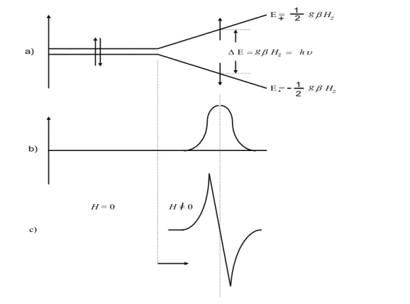 Şekil 1.7 a) Elektronun dış manyetik alan içindeki enerji düzeylerinin yarılması (zeeman yarılması)                  b) Rezonans koşulu sağlandığındaki soğurma sinyali 
