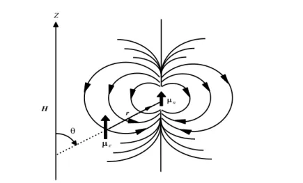 Şekil 1.6 Elektronun spini ile çekirdek spini arasında meydana gelen dipolar etkileşme