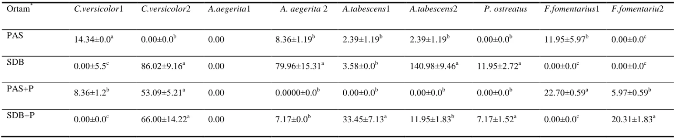 Çizelge 4.7. Submerged Koşullarda Fermentasyonun 7. Gününde Ortamların LiP Üretimi Üzerine Etkisi 