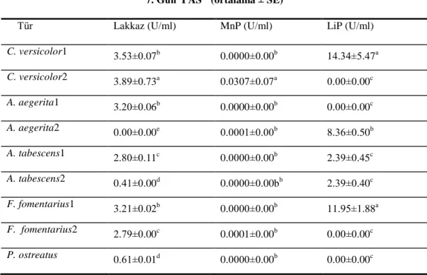 Çizelge  4.10.  Submerged  Koşullarda  Fermentasyonun  7.  Gününde  PAS  Ortamında Türlerin Ürettiği Lakkaz, MnP ve LiP Üretimi Üzerine Etkisi 