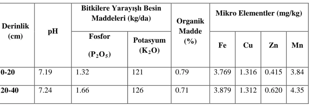 Çizelge 3.1  Araştırmanın yürütüldüğü araziye ait toprak analiz sonuçları. 