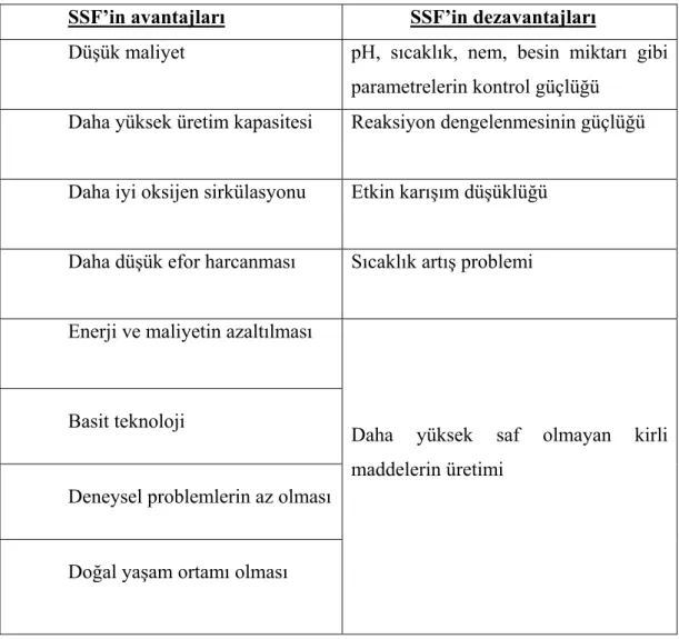 Tablo 1.2. SSF’in avantajları ve dezavantajları 