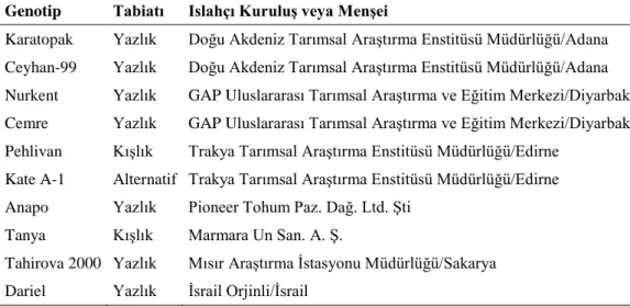 Çizelge 3.1. Araştırmada kullanılan ekmeklik buğday genotipleri  Genotip   Tabiatı  Islahçı Kuruluş veya Menşei    