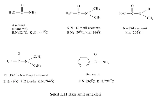 Şekil 1.11 Bazı amit örnekleri