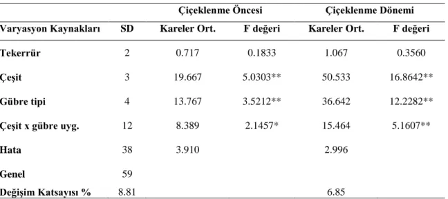 Çizelge 4.9. Çiçeklenmeden önce ve tam çiçeklenme döneminde kök uzunluğu varyans analiz sonuçları  Çiçeklenme Öncesi  Çiçeklenme Dönemi  Varyasyon Kaynakları  SD  Kareler Ort