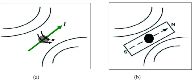 Şekil 2.1. (a) I spinin kurduğu yerel alan (b) Çubuk mıknatısın kurduğu yerel alan 