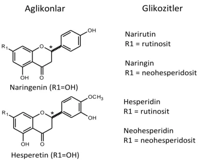 Şekil 2.38. Bazı Yaygın Flavanon Aglikonları ve Glikozitleri  2.6.1.6. İzoflavonlar 