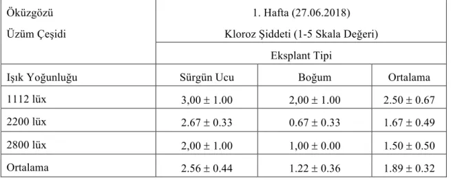 Çizelge 4.1.1. Öküzgözü üzüm çeşidine ait eksplantların farklı ışık yoğunluğunda 1. hafta kloroz şiddeti  