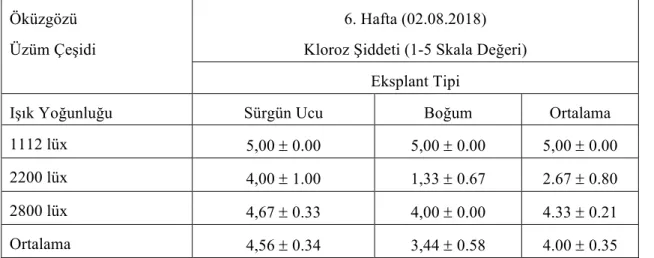 Çizelge 4.1.16. Öküzgözü üzüm çeşidine ait eksplantların farklı ışık yoğunluğunda 6. hafta kloroz şiddeti 