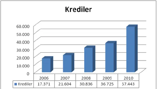Şekil 7. 2006 – 2010 Yılları Arası Kredilerin Görünümü 221