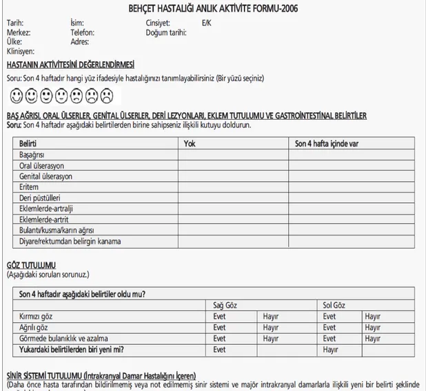 Şekil 2. Behçet hastalığı anlık aktivite formu 2006.