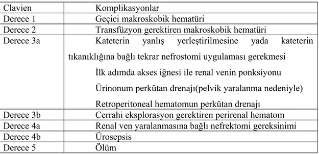 Tablo 2: Modifiye Clavien Sınıflama Sistemi'ne göre Nefrostomi komplikasyonları