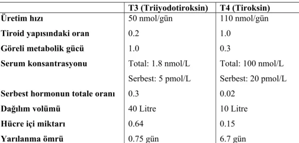 Tablo 5.  T3 ve T4 Karşılaştırmalı Özellikleri