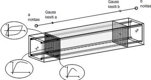 Şekil 3.10. Betonarme bir kirişin fiber elemanlara ayrılması ve malzeme  davranışları (Seismostruct’dan adepte edilmiştir) 