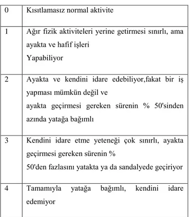 Tablo 2. WHO Performans sınıflaması 