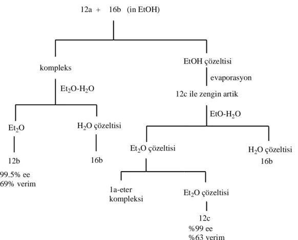 Çizelge 2.7. 12a’nın 16b ile olan rezülüsyon şeması 