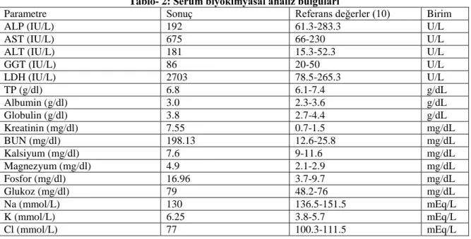 Tablo -3:İdrar kimyasal analiz bulguları 
