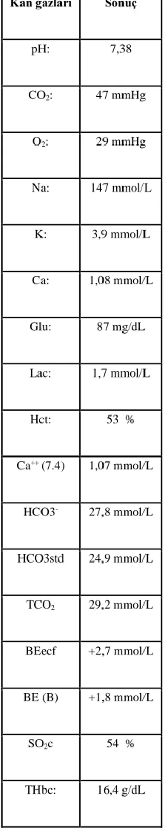 Tablo 3. Kan gazı ölçüm sonuçları 