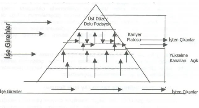 ġekil 3. Örgütsel Yapıdan Kaynaklanan Kariyer Platosu 123