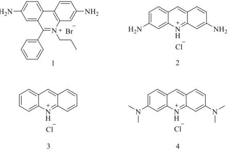 Şekil 1.4.) bağlanmada selektivite gösterebilirler. Etidyum bromür ve proflavin bilinen  ilk interkatörlerdir (Wang 1992), (Krugh 1994)