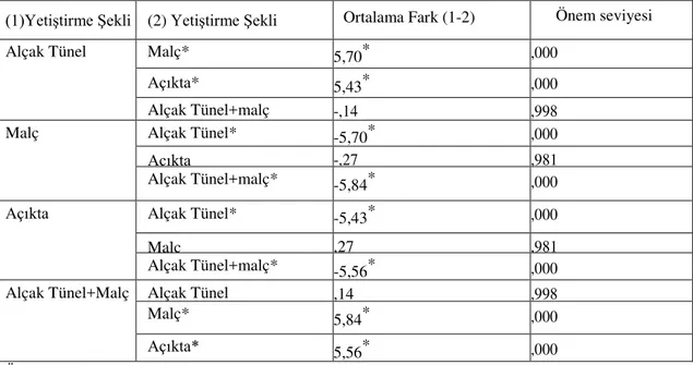 Çizelge 4.6.  Bitki göbek çevresini  etkileyen yetiştirme şekillerinin birbirleriyle karşılaştırılması