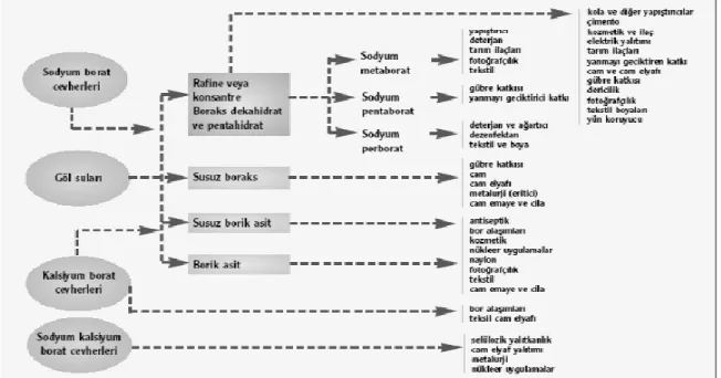 Şekil 2.1 Bor ürünlerinin kullanım alanları(Buluttekin 2008) 