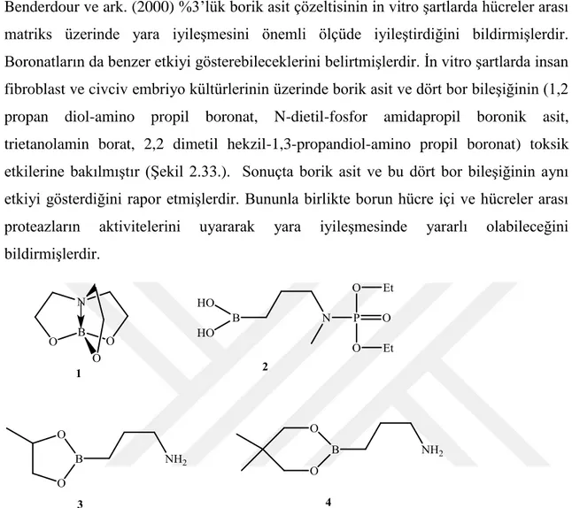 Şekil 2.33. Bor bileşiklerinin yapısı; trietanolamin borat (1), N-dietil-fosfor amidapropil boronik asit (2),                     2,2 dimetil hekzil-1,3-propandiol-amino propil boronat (3) ve  1,2 propan diol-amino  