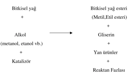 Şekil 3.3. Bitkisel Yağın Transesterifikasyonu 