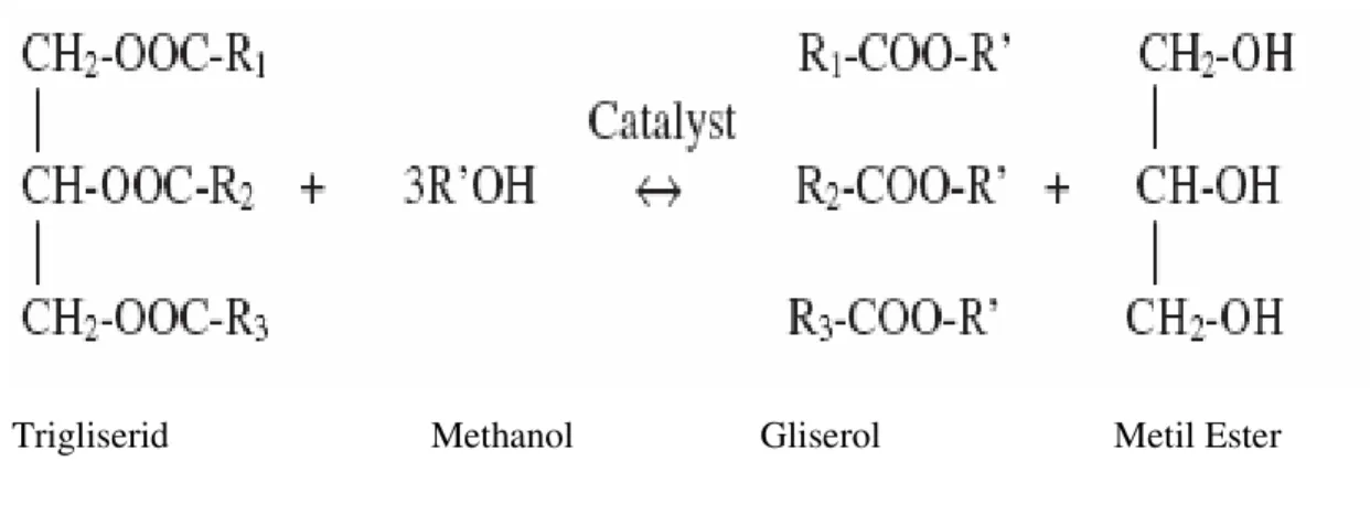 Şekil 3.4. Trigliseritin metanolizi 