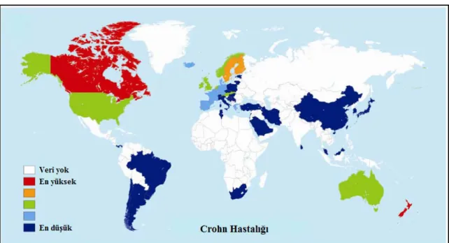 Şekil 2. 1. Crohn hastalığının dünya üzerinde coğrafik olarak görülme sıklığı (Szilagyi ve ark