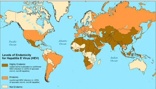 ġekil 7: HEV vakalarının global dağılımı, 2015.       