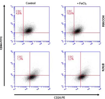 Figure  2.  Measurement  of  CSCs  in  breast  cancer  cell  lines.  Cells  were  grown  in  appropriate  conditions  for  5  days