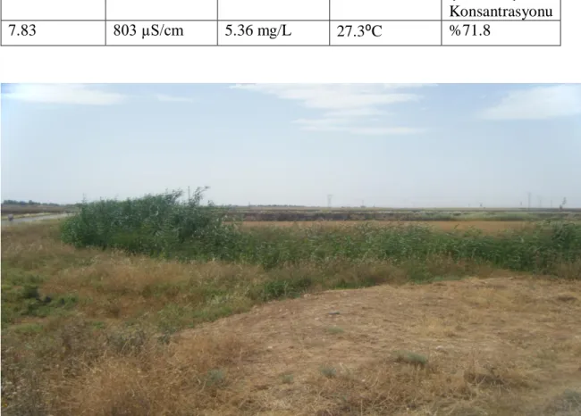 Şekil   3.3.  I. Ġstasyon 