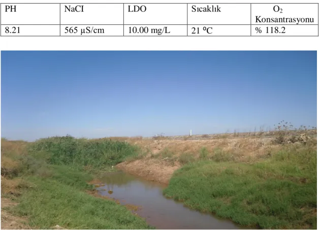 Çizelge 3.6 . IV. Ġstasyona ait suyun parametreleri 