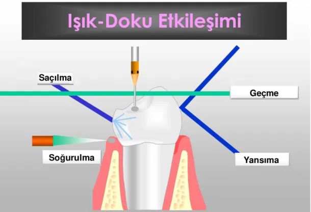 Şekil 4: Lazer ışığının doku üzerine etkileri (22)