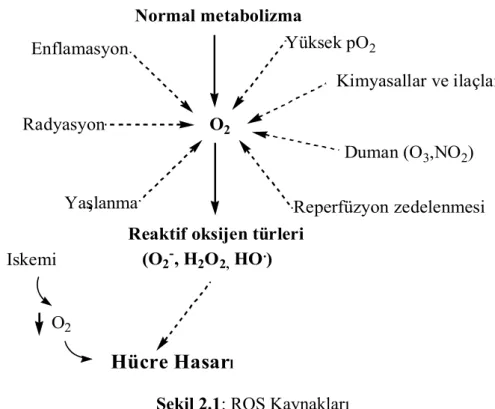 Şekil 2.1: ROS Kaynakları