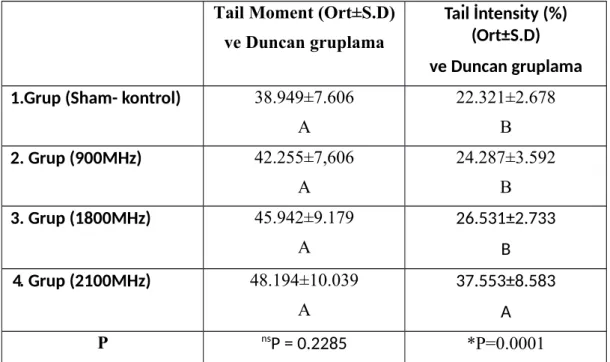 Tablo   3:  Sham-   kontrol   ve   deney   gruplarının  tail   moment  ve   tail   intensity değişkenleri bakımından karşılaştırılması ve Duncan gruplama