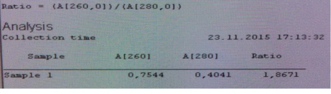 Figure 3.4. showed genomic DNA concentration measurement. 