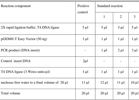 Table 3.9. Ligation reactions set up. 