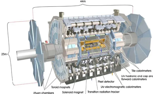 Figure 4.3 Cut-away view of the ATLAS detector. ( http://atlas.ch/ ) 