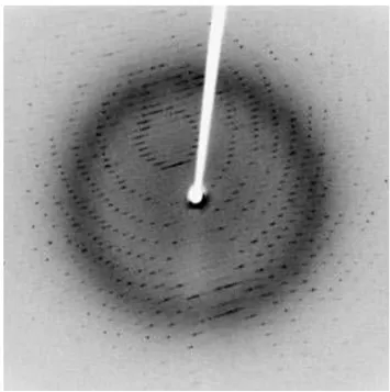Figure 3.4. An example of a diffraction pattern. The particular position and symmetry of the spots is 