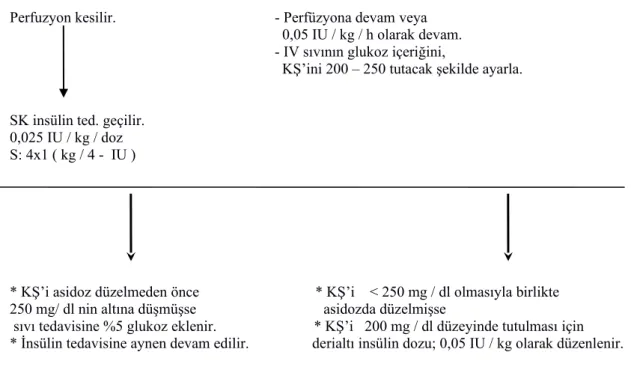 Şekil 5: DKA  İnsülin Tedavisi