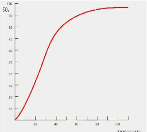 Şekil 1.1: Hemoglobin – O 2 dissosiyasyon eğrisi
