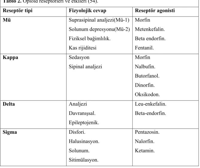 Tablo 2. Opioid reseptörleri ve etkileri (54). 