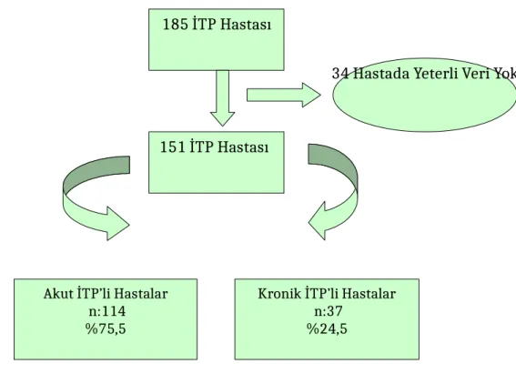 Şekil 3: İTP Vakalarının Akut ve Kronik Dağılımı.