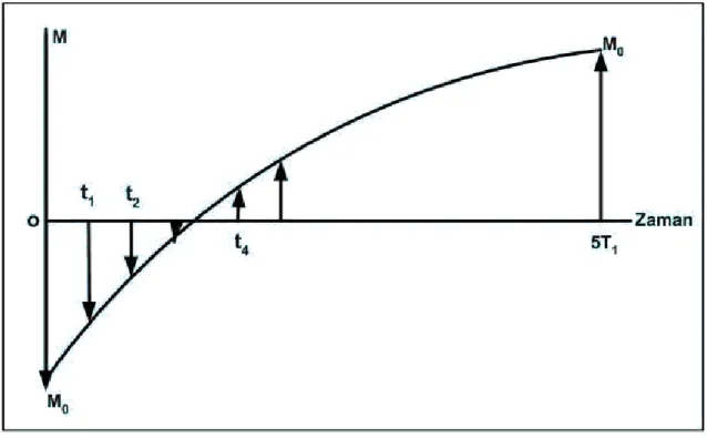 Şekil 1.15. (180 o -τ-90 o -TR) puls adımlarının ard arda uygulanmasından sonra ölçülen mıknatıslanmaların   