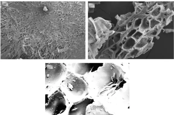 Fig. 2 a shows the nitrogen isotherm at 196 8C. As seen from Fig. 2 a, it exhibits adsorption isotherm of type IV according to IUPAC [39] 