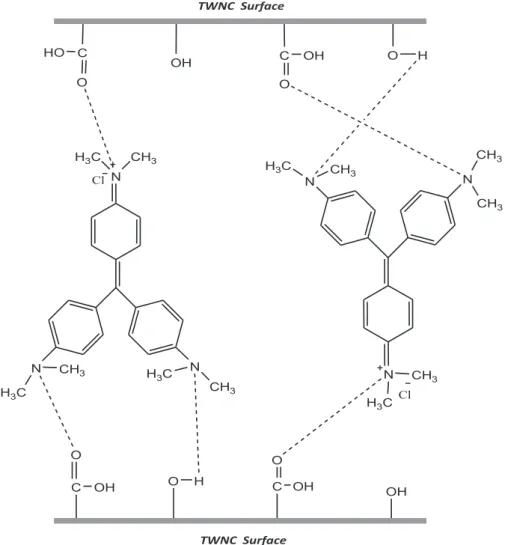 Fig. 6. Binding mechanism for the adsorption of CV onto TWNC.