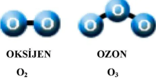Şekil 4  Oksijen ve ozon moleküllerindeki oksijen atomu sayısı 