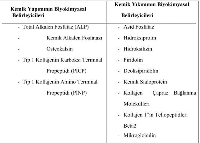 Tablo 1. Kemik yapım ve yıkımının biyokimyasal belirleyicileri (53)